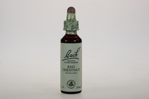 Bach Red Chestnut - Rode kast 20ml