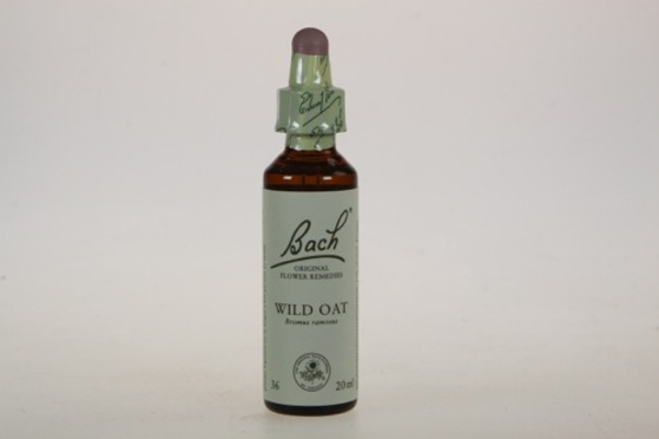 Bach Wild Oat - Ruwe dravik 20ml