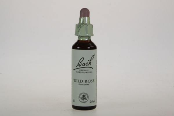 Bach Wild Rose - Hondsroos 20ml