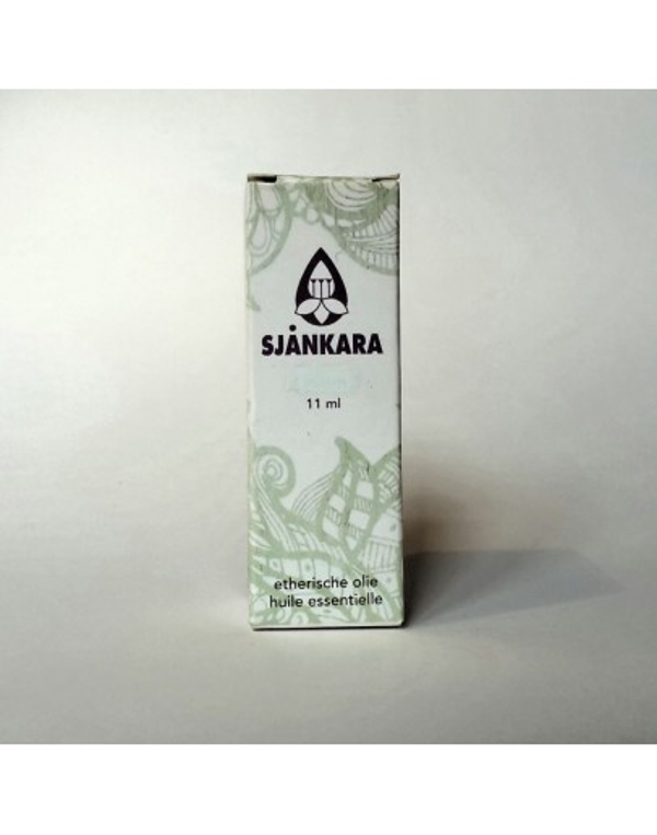 Sjankara Mirt/ Myrte