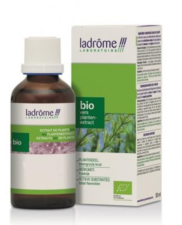 CHELIDONIUM MAJUS/STINKENDE GOUWE