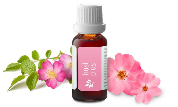 Go4balance trust plus