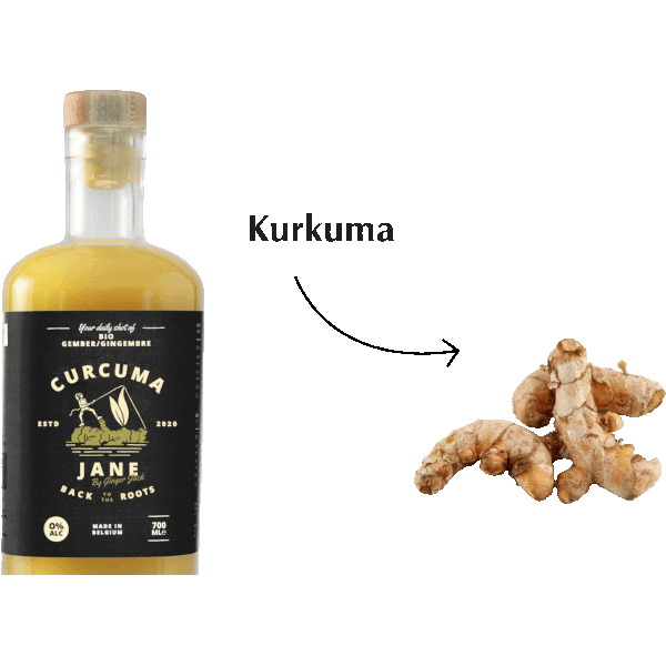 Curcuma jane 250ml