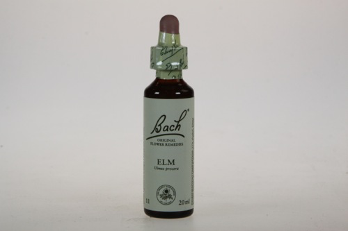 Bach Elm - veld iep 20ml