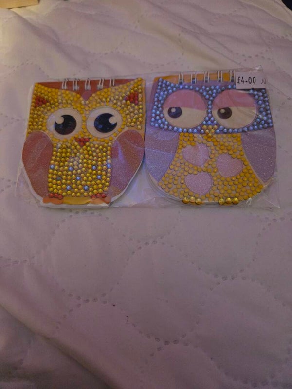 Owl notebooks
