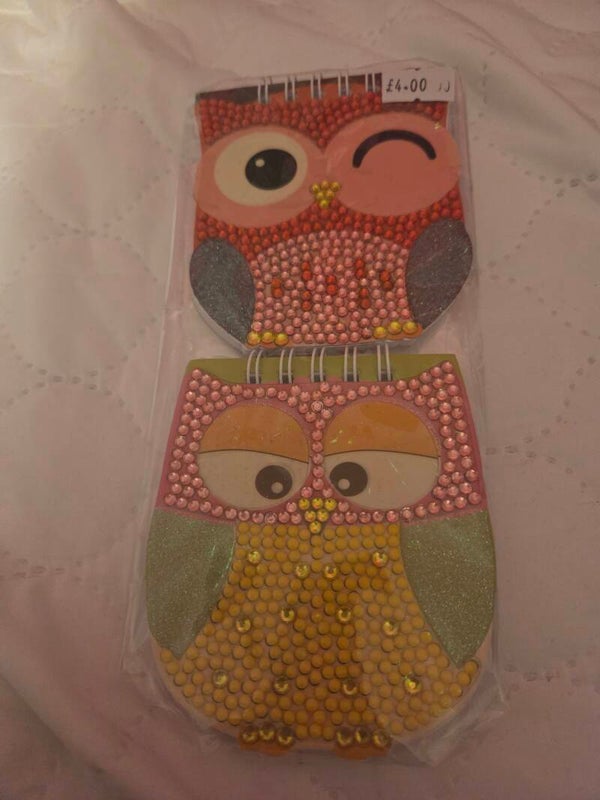 Owl notebooks