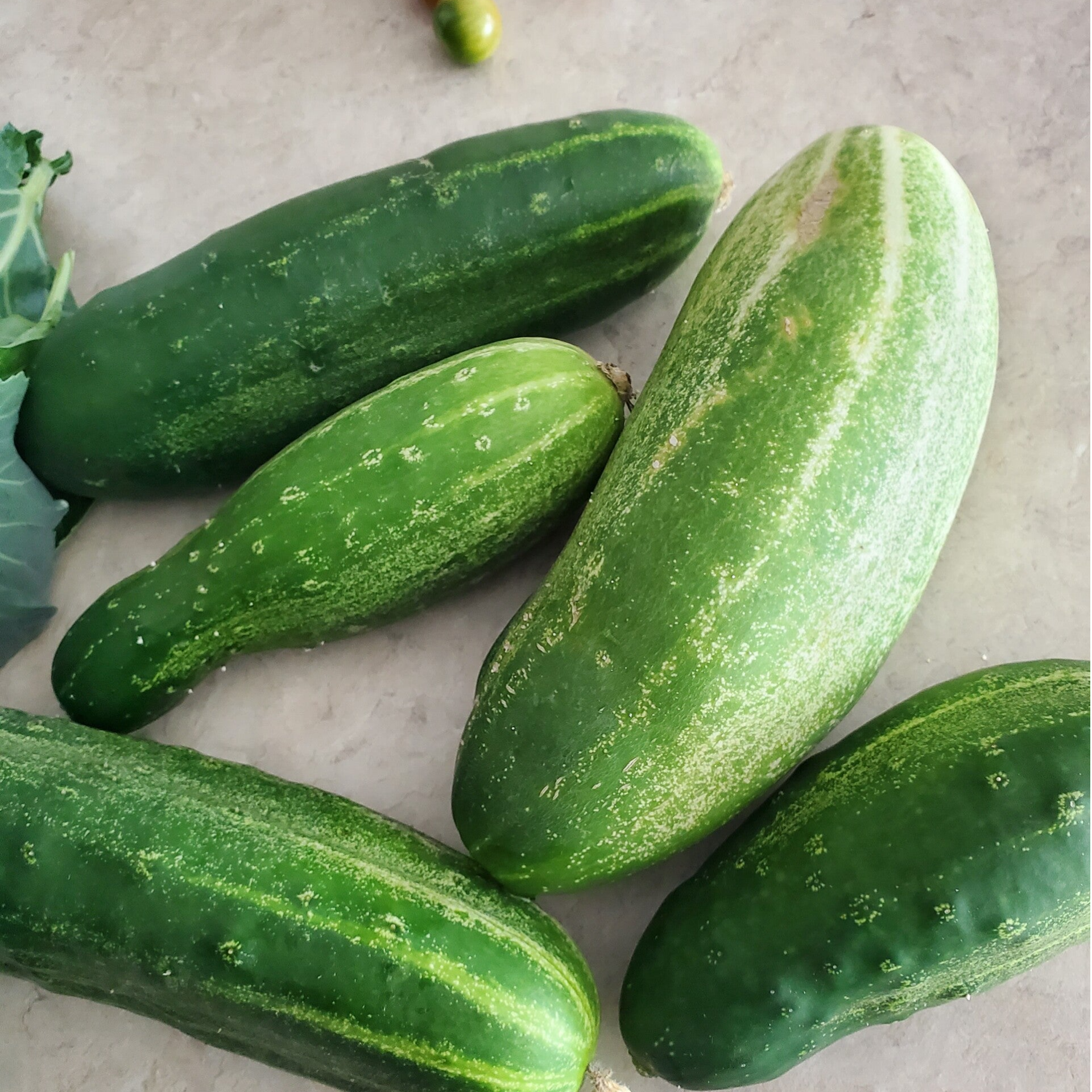 Cucumbers