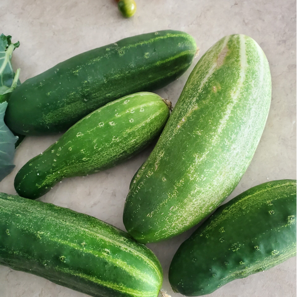 Cucumbers