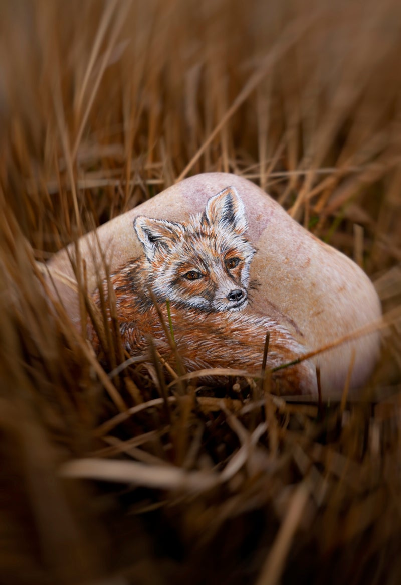 Totemdier Vos geschilderd op steen.