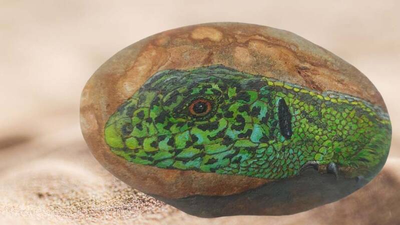 Totemdier Hagedis geschilderd op steen.