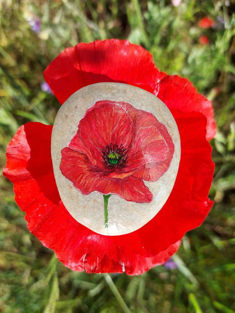 Klaproos geschilderd op steen.