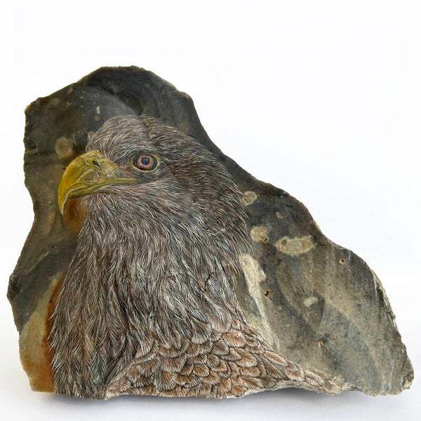 Zeearend: Visie