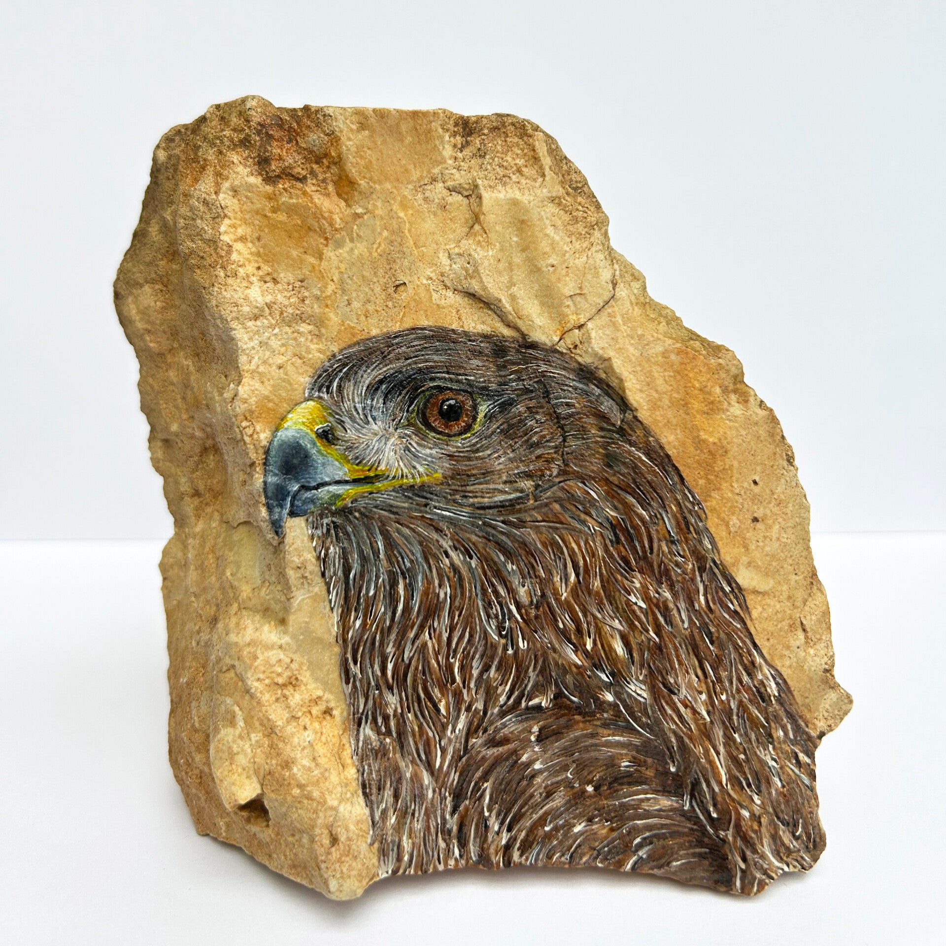Buizerd: Perspectief