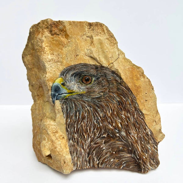 Buizerd: Perspectief