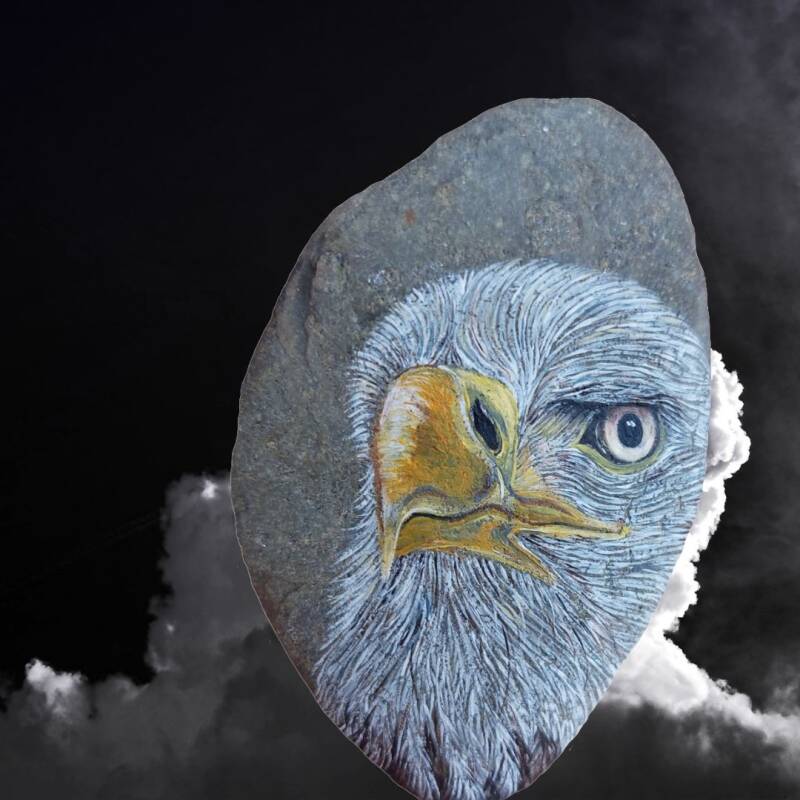 Totemdier Arend geschilderd op steen