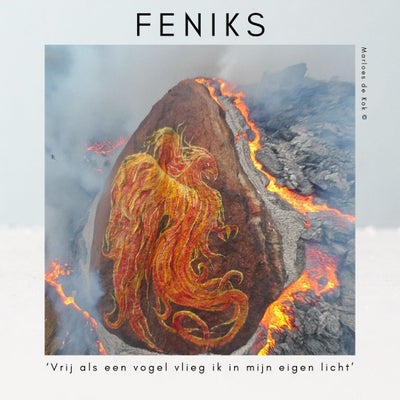 feniks-standard.jpg