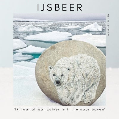 ijsbeer-standard.jpg
