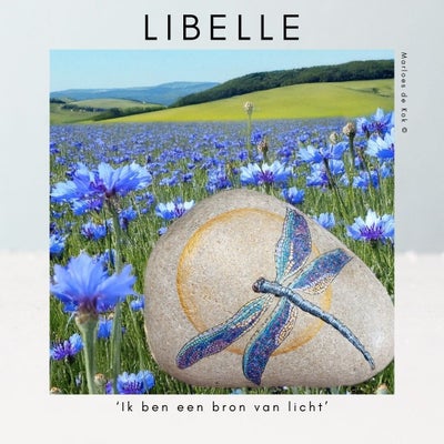 libelle-standard.jpg