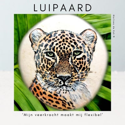 luipaard-standard-nciypu.jpg