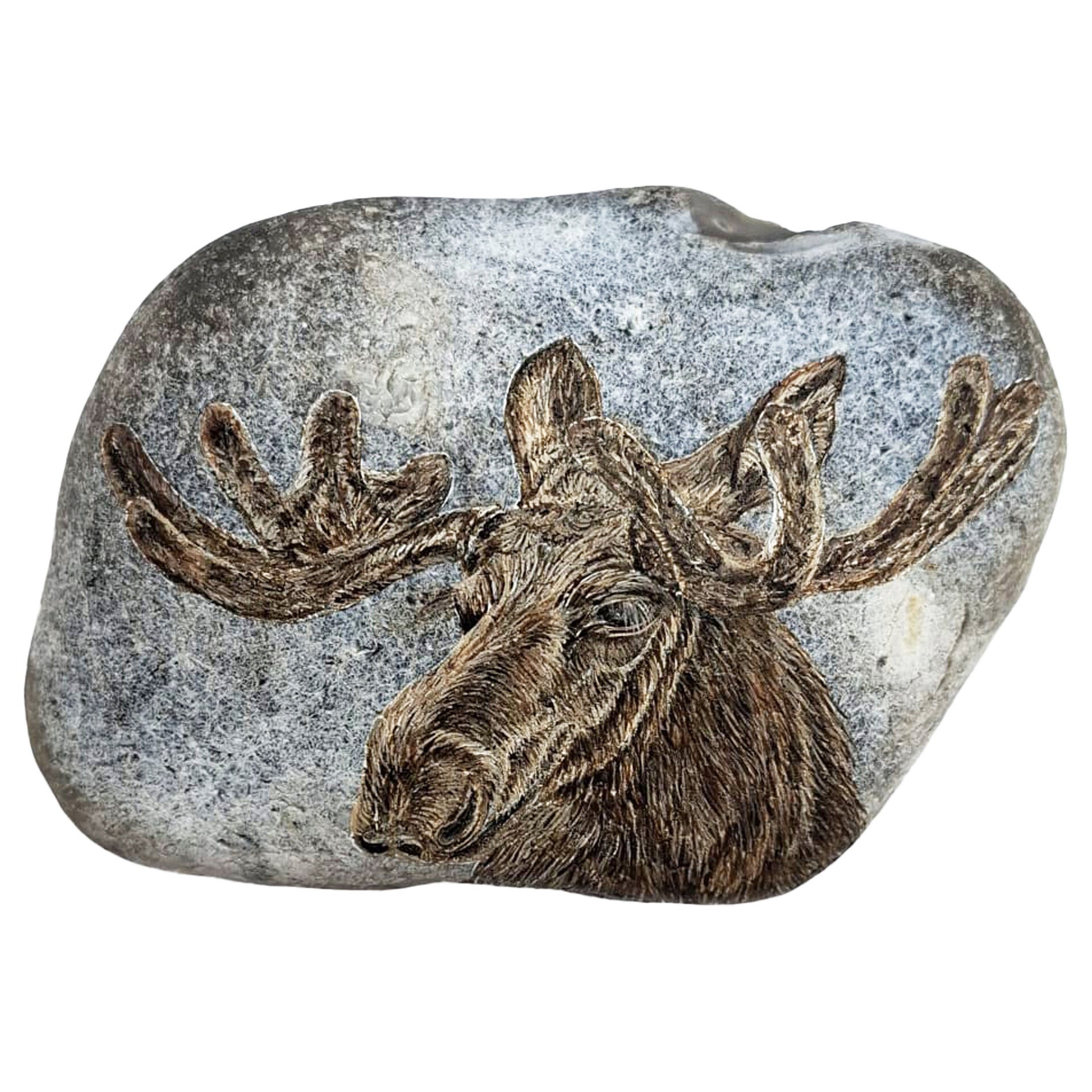 Eland: spiritueel bewustzijn