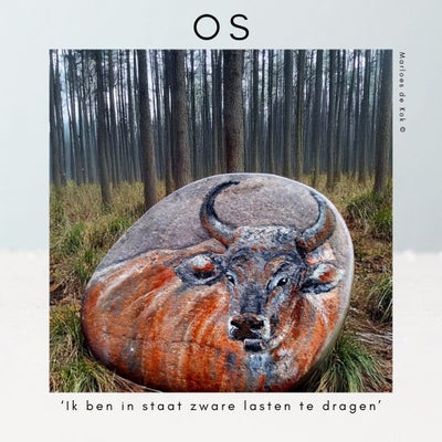 os-standard-cqkln4.jpg