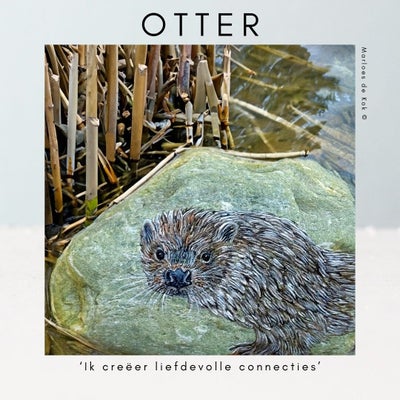 otter-2-standard.jpg