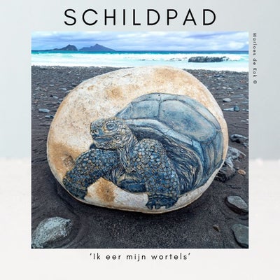 schildpad-standard.jpg