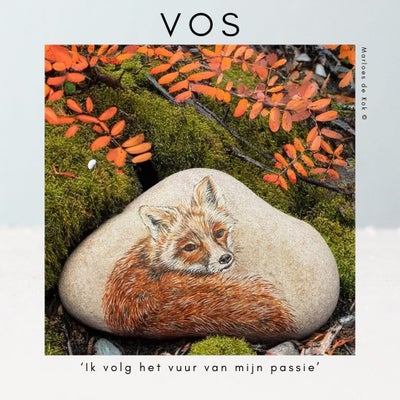 vos2-standard.jpg