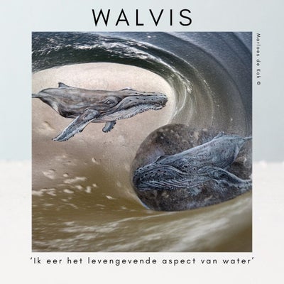 walvis-standard.jpg