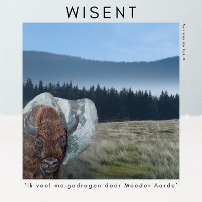 wisent-standard.jpg