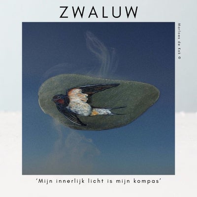 zwaluw-standard.jpg