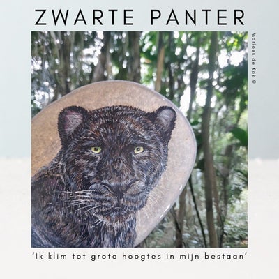 zwarte-panter-standard.jpg
