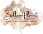 balloonplanet.be