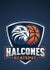 HALCONES ECATEPEC