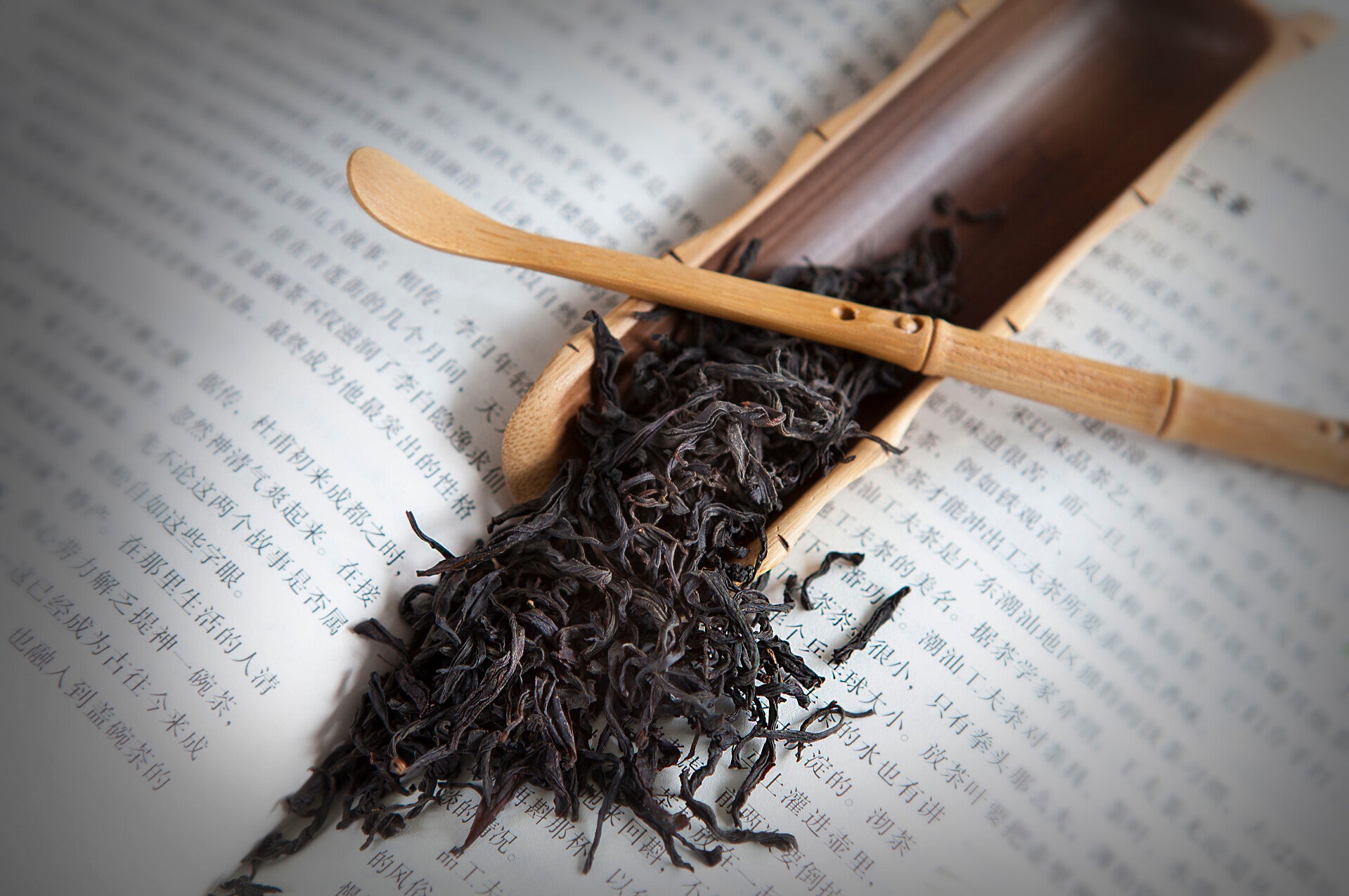 Ervaar een authentieke theeceremonie.