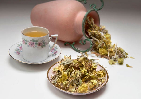 Griekse bergthee - Sideritis