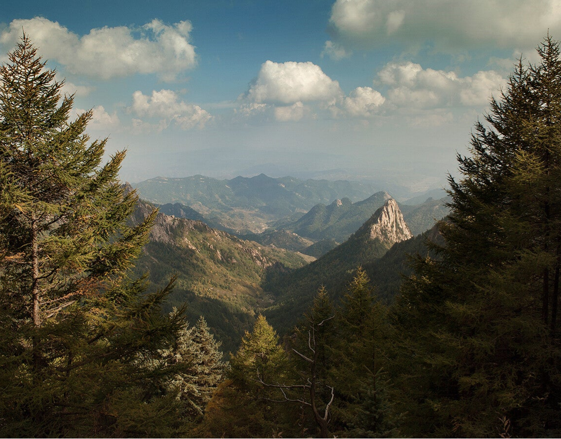 Ervaar een authentieke theeceremonie.