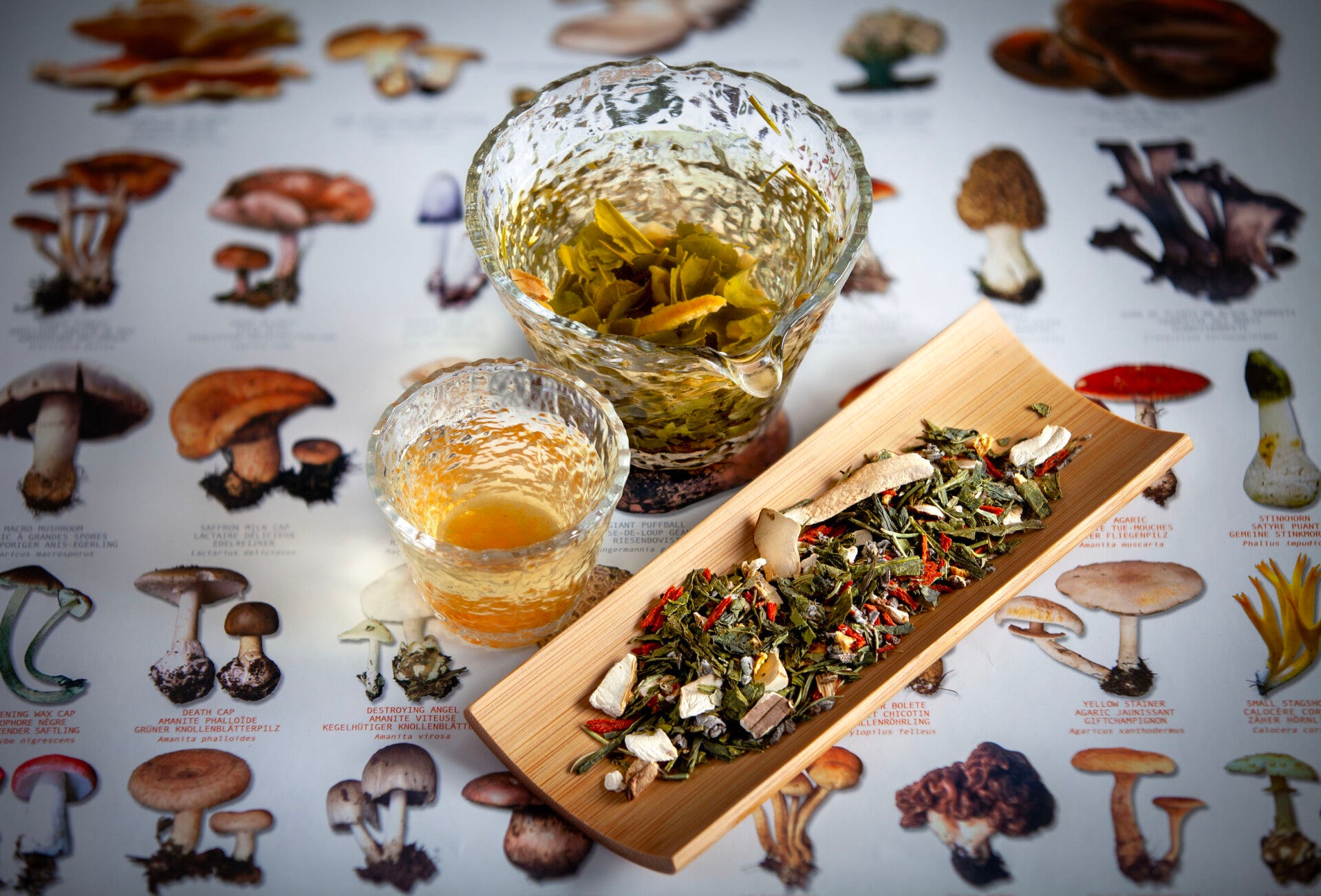 Sencha Shiitake - Bio