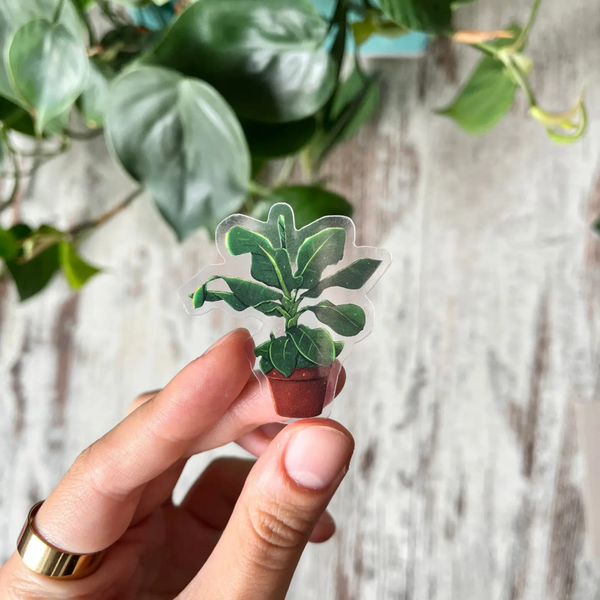 plantyintroverts | Sticker | Bananenplant - Musa Tropicanaim transparante pot