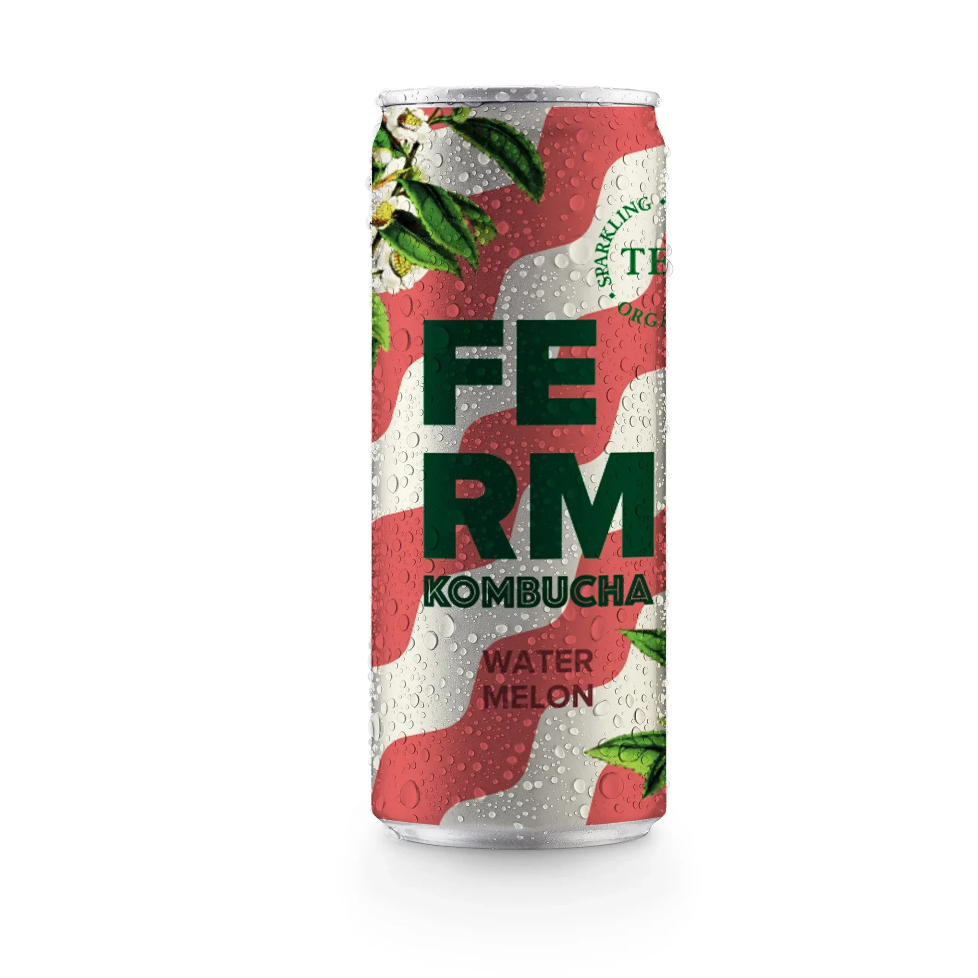 FERM kombucha | watermeloen