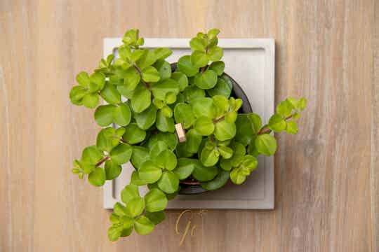 Handgemaakte onderlegger - vierkant - Marble