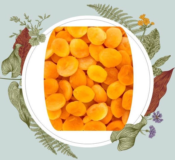 Bio-paradise Abrikozen zoet in pot 500 gr verp 6