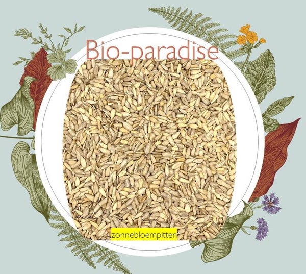 Bio-paradise Zonnebloempitten (zaad) bio (500g) verp 6