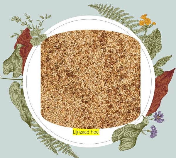 bio-paradise Lijnzaad heel perfect bij het afvallen 500gr verp 6