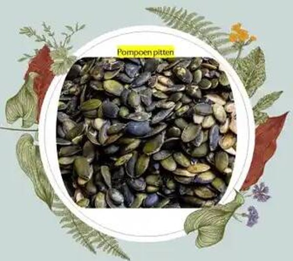 Bio-paradise  Pompoen Pitten 500 gr verp 6