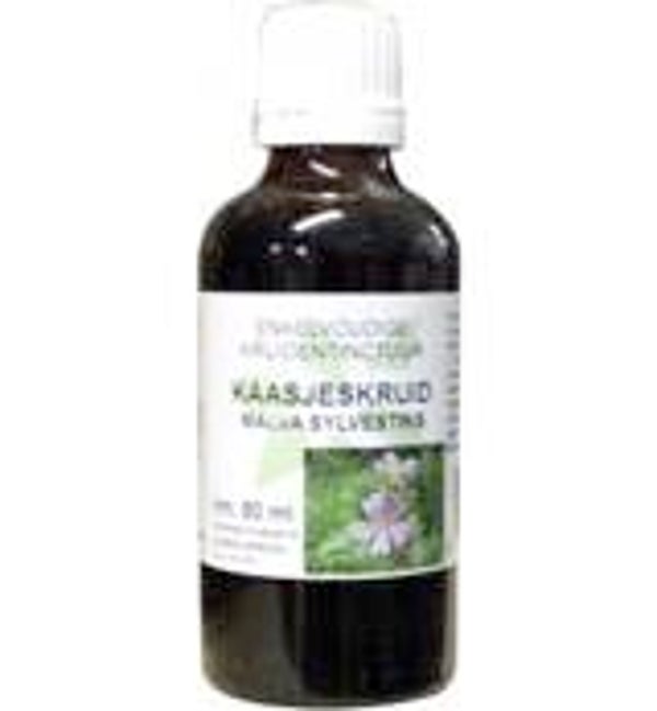 Natura Sanat  Vitex Agnus Castus Fruct Tinctuur Bio 100ml