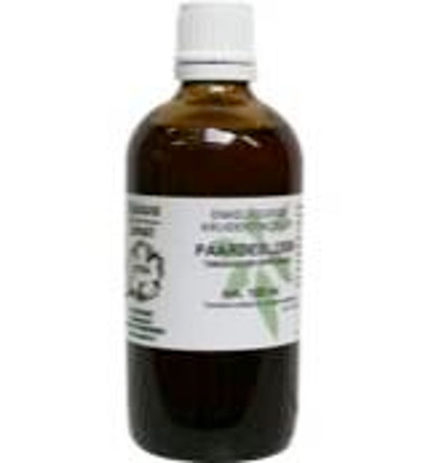 Natura Sanat  Taraxacum Officinalis Rad / Paardebloem Tinctuur 100ml