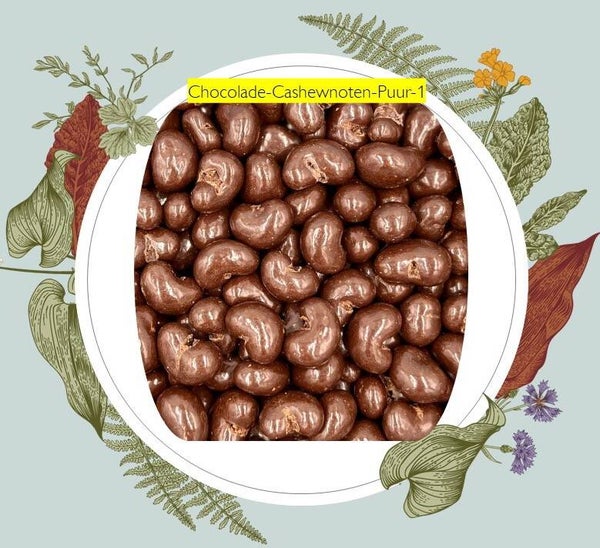 Bio-paradise Chocolade Notenmix 300 gr