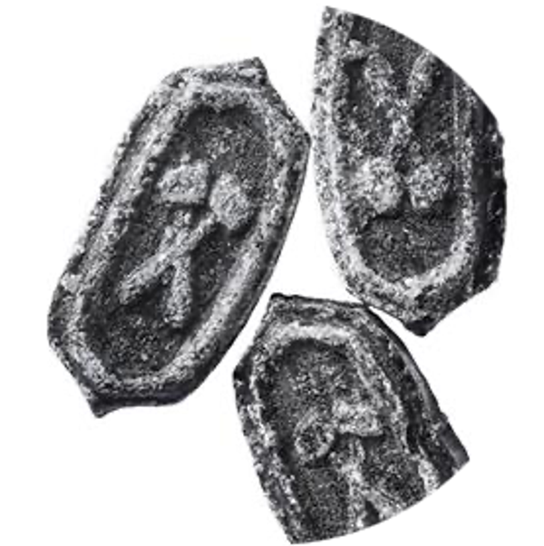 GICOPA ANIJS 1KG
