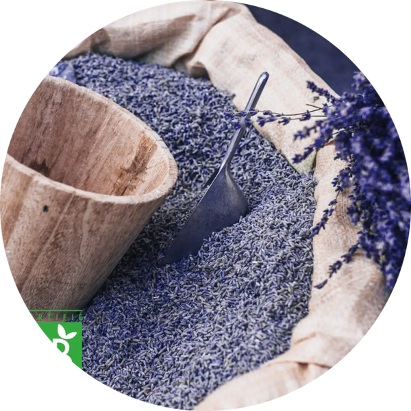 Losse lavendelbloemen vanaf 500 gram verp 6